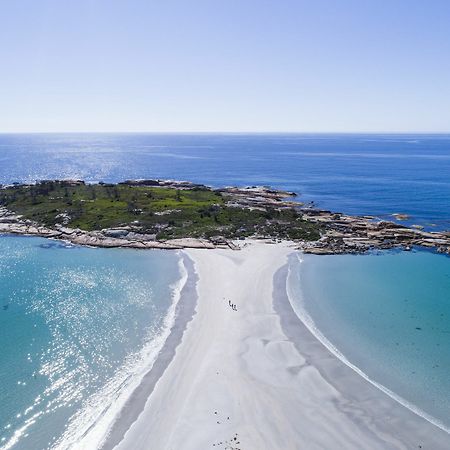 Diamond Island Resort, Restaurant & Bar And Penguin Show Bicheno Buitenkant foto