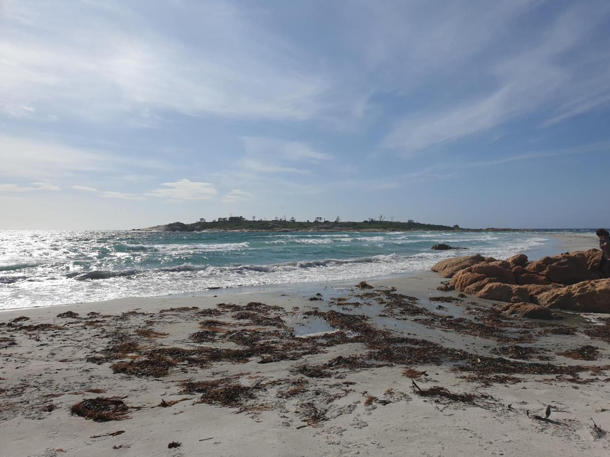 Diamond Island Resort, Restaurant & Bar And Penguin Show Bicheno Buitenkant foto