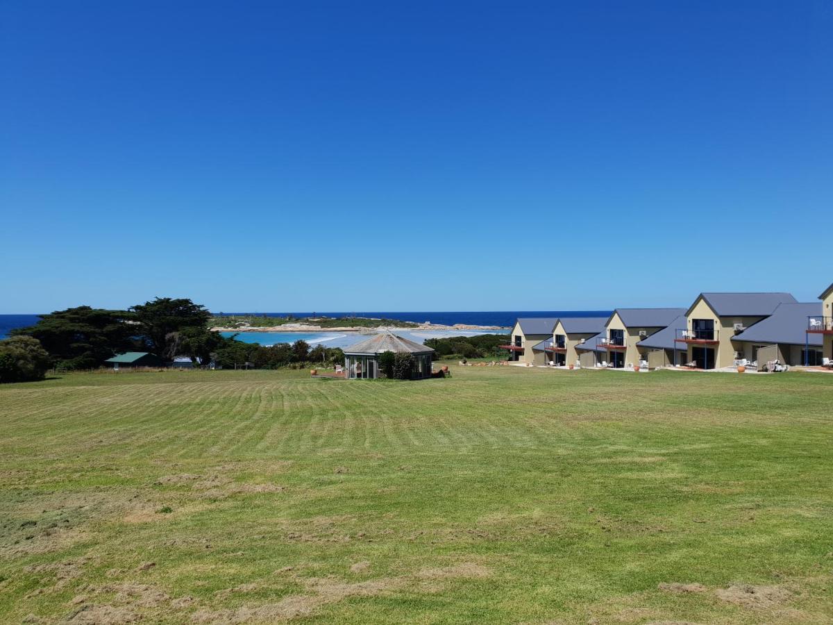 Diamond Island Resort, Restaurant & Bar And Penguin Show Bicheno Buitenkant foto